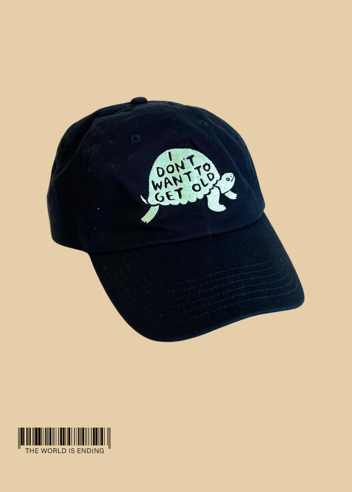 MOLLY ANNE BISHOP I DON'T WANT TO GET OLD HAT