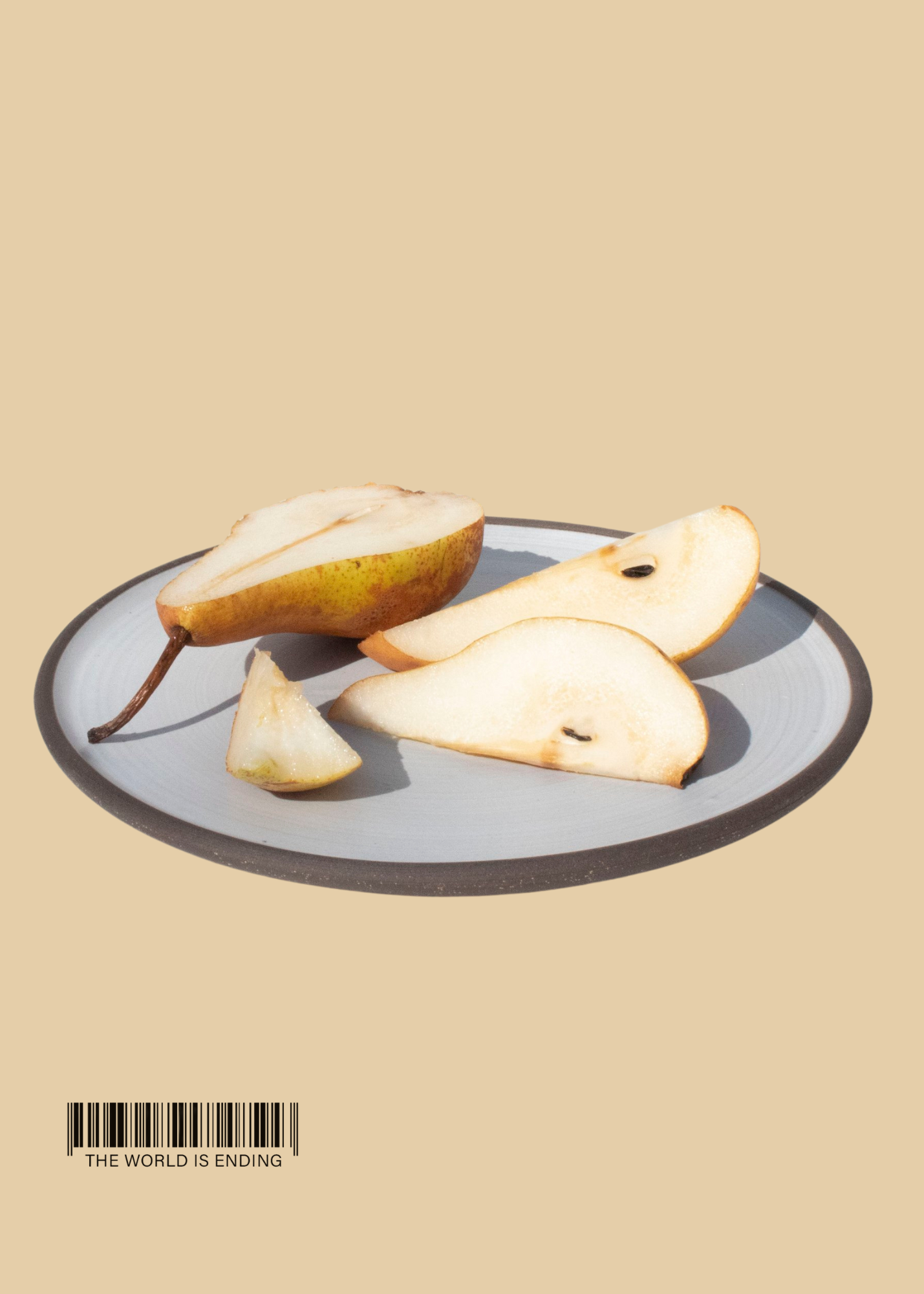 EMRIS SNACK PLATE