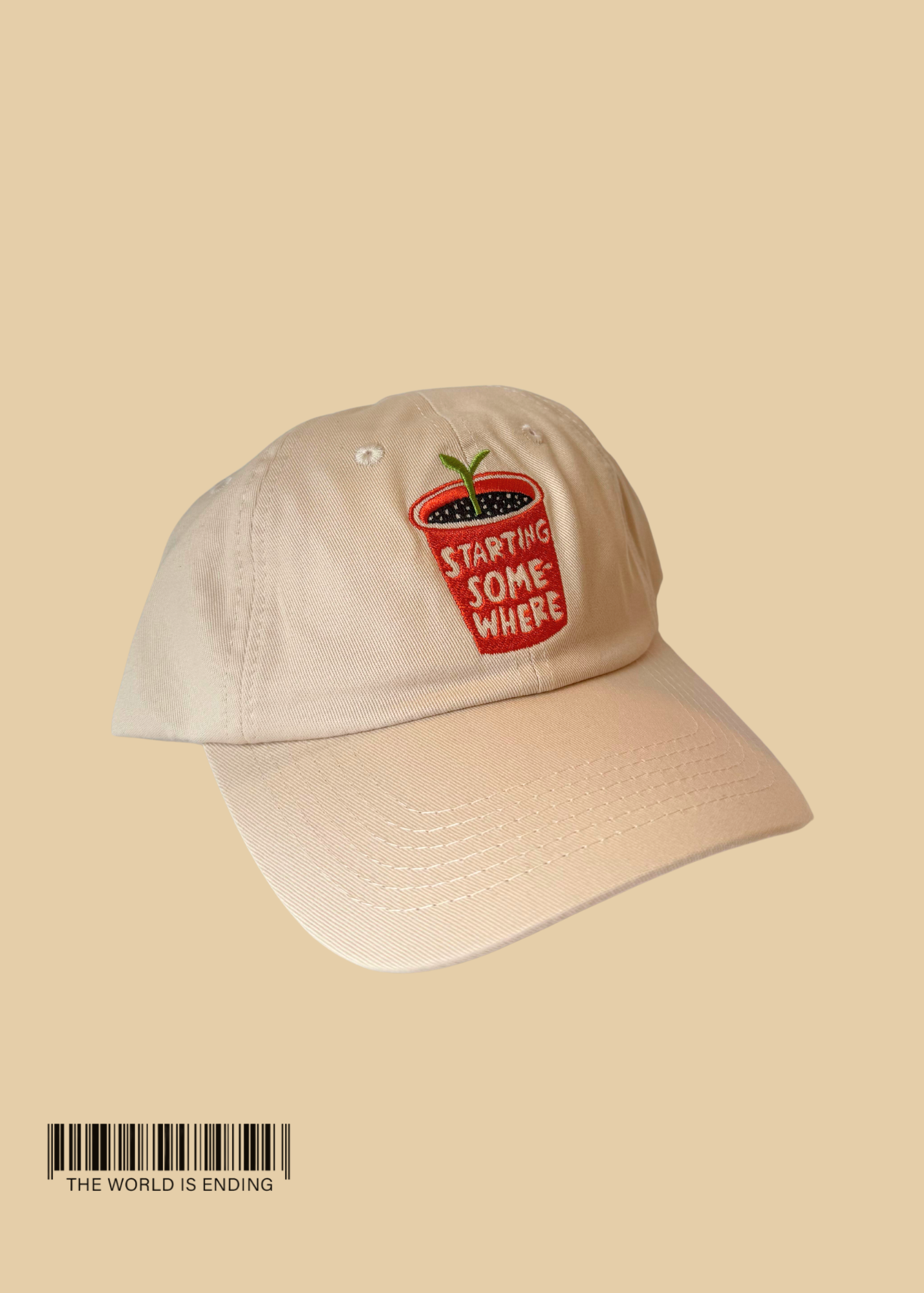 MOLLY ANNE BISHOP STARTING SOMEWHERE HAT