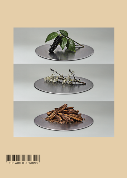 IBAL STUDIO Smoke Toad Eau De Parfum