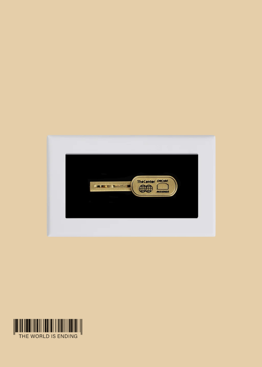 THE CENTER OF ORDER AND EXPERIMENTATION x THE TIE BAR THE INDICATOR BRUSHED GOLD TIE BAR